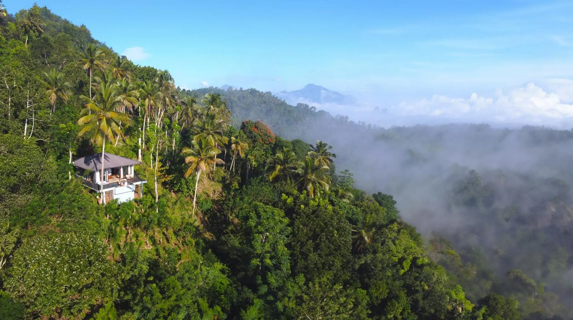 Aarunya Nature Resort - Kandy