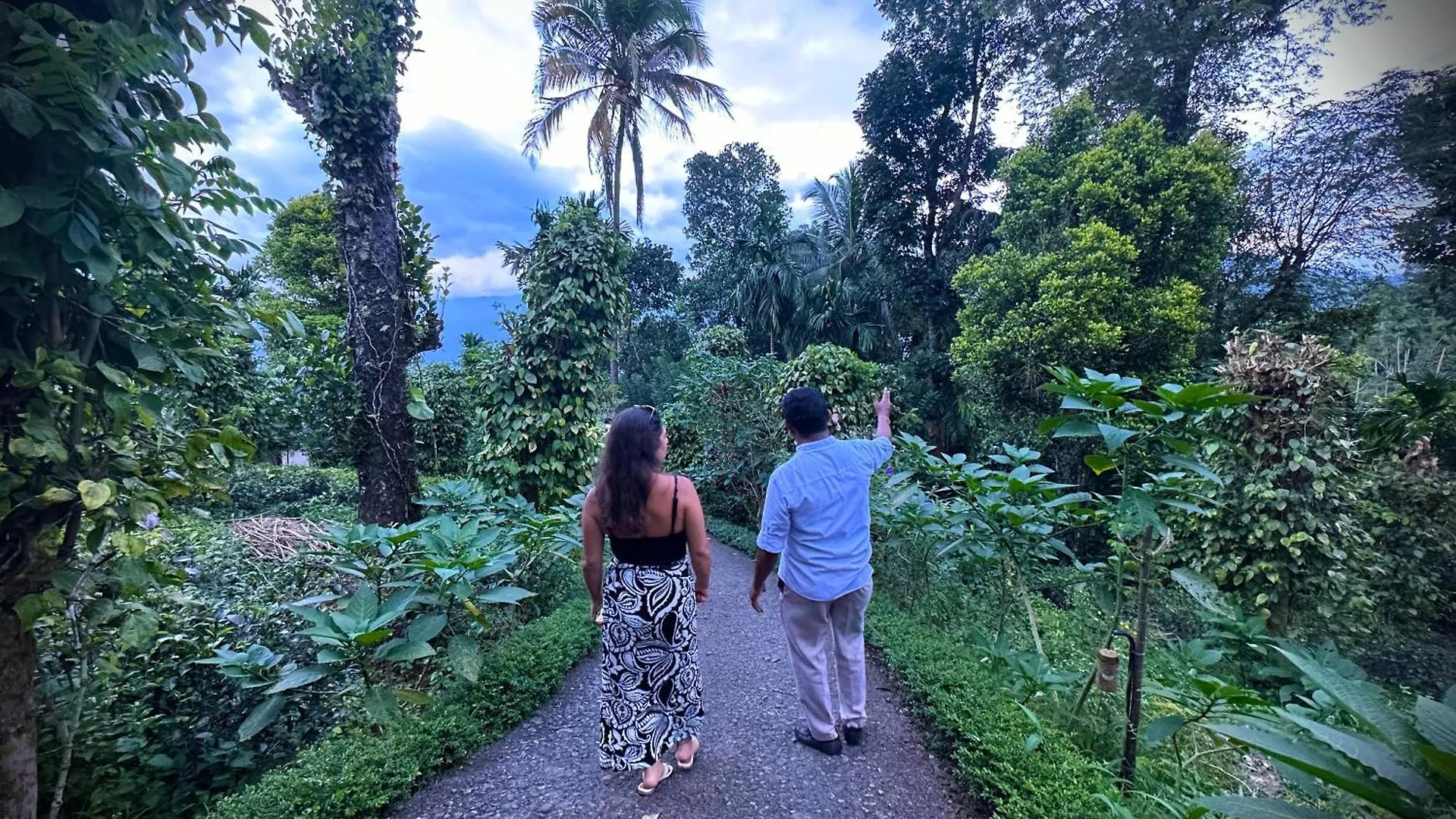 Aarunya Nature Resort - Kandy