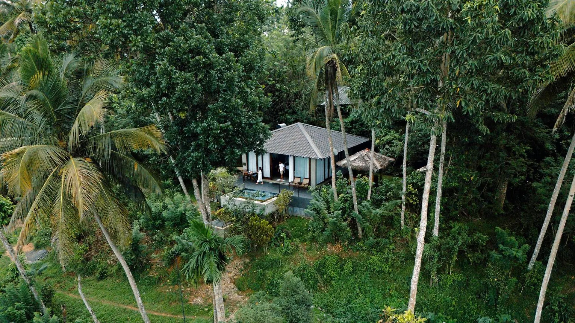 Aarunya Nature Resort - Kandy 5*,
