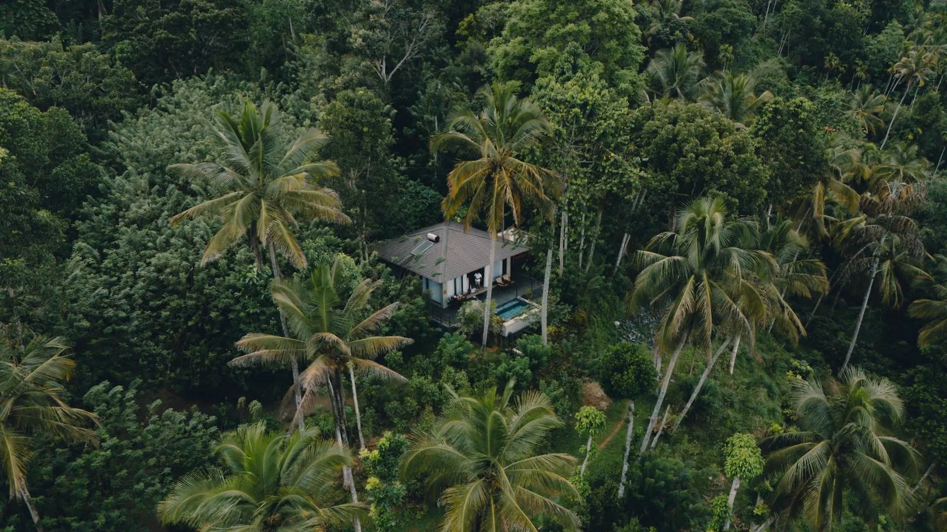 Aarunya Nature Resort - Kandy